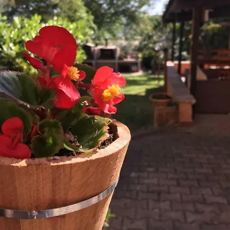 Dell'annunziata B&B 베바냐