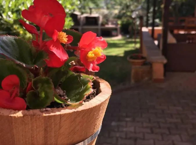 Dell'annunziata Bed and breakfast Bevagna